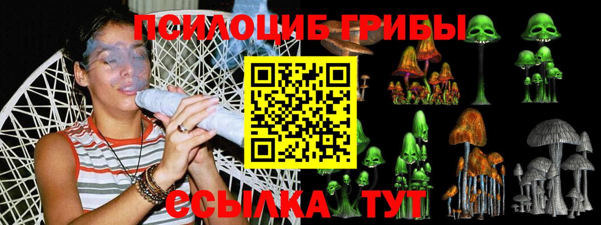 Галлюциногенные грибы Psilocybine cubensis Фролово